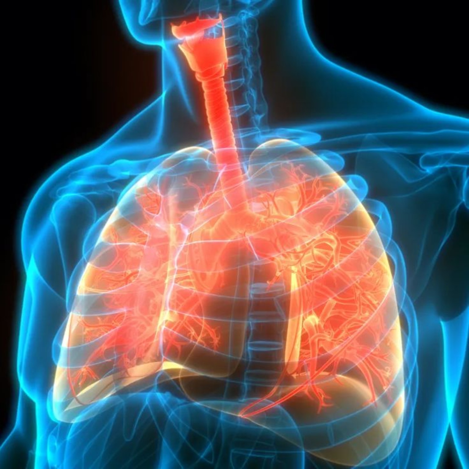 Thyroid Gland Treatment Hyderabad